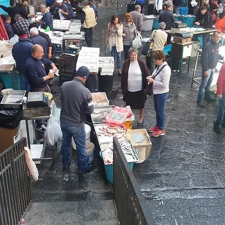 Centrocitta بيت للعطل *