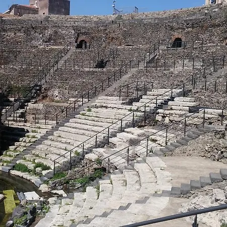 Centrocitta *