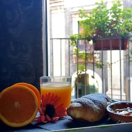 Centrocitta كاتانيا