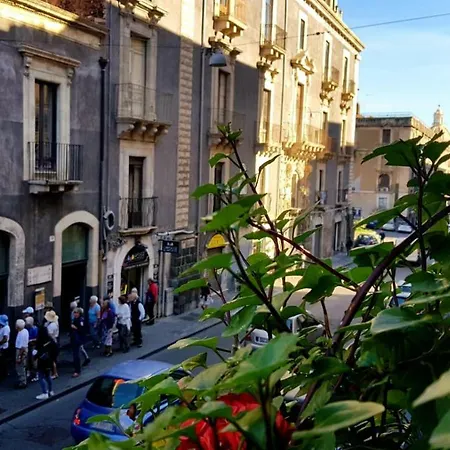 بيت للعطل Centrocitta