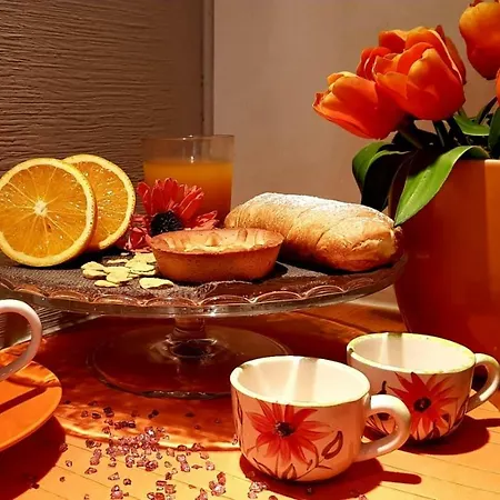 Centrocitta بيت للعطل